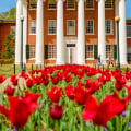 Unlocking the Potential of Mississippi Community Empowerment
